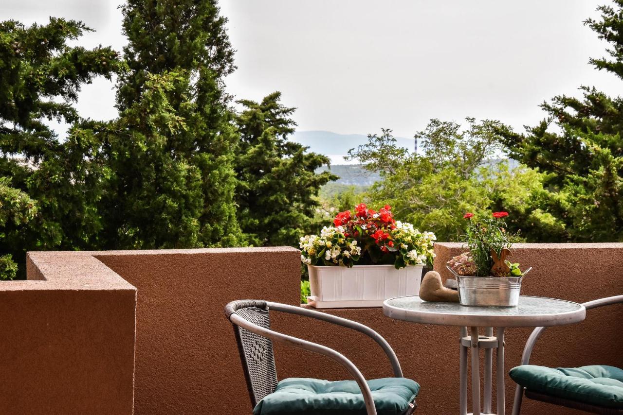 Apartman Iva Krasica  Extérieur photo